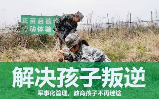 叛逆期孩子的教育(對叛逆期的孩子應該怎樣