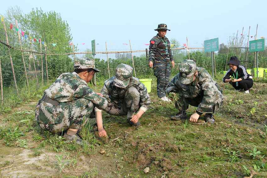 初中厭學怎么辦，從哪些原因來分析(圖2)